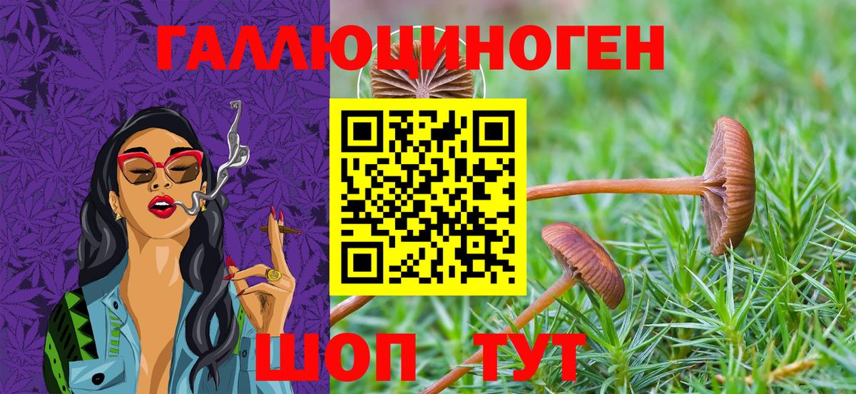 Псилоцибиновые грибы мухоморы  Галлюциногенные грибы Psilocybine cubensis  Ангарск  Вход с VPN 