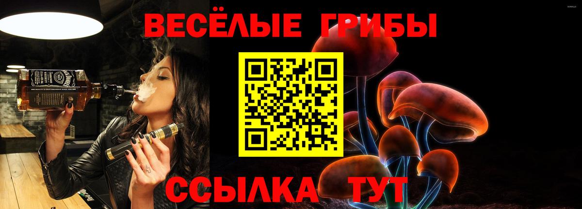Псилоцибиновые грибы Psilocybine cubensis Ангарск